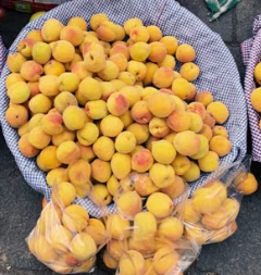 HOW TO STORE PEACHES IN THE REFRIGERATOR